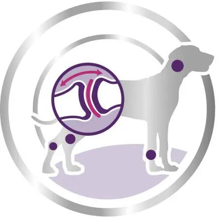 Сухий корм Royal Canin Giant Adult для дорослих собак гігантських порід, 15 кг