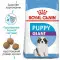 Сухий корм Royal Canin Giant Puppy для цуценят гігантських порід, 1 кг