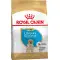 Сухий корм Royal Canin Labrador Retriever Puppy (Junior) для цуценят породи лабрадор-ретривер від 2 до 15 місяців 12 кг