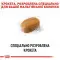 Сухий корм Royal Canin Maltese Adult для собак породи мальтійська болонка, 0,5 кг