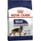 Сухий корм Royal Canin Maxi Adult для дорослих собак великих порід, з м'ясом птиці і кукурудзою, 4 кг