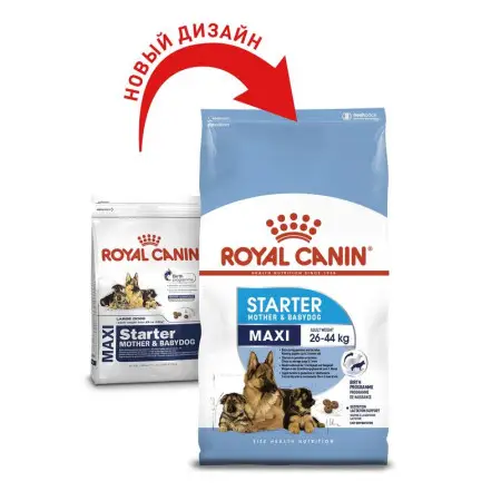 Сухий корм Royal Canin Maxi Starter Mother & Babydog для цуценят великих порід, з м'ясом птиці і рисом, 4 кг