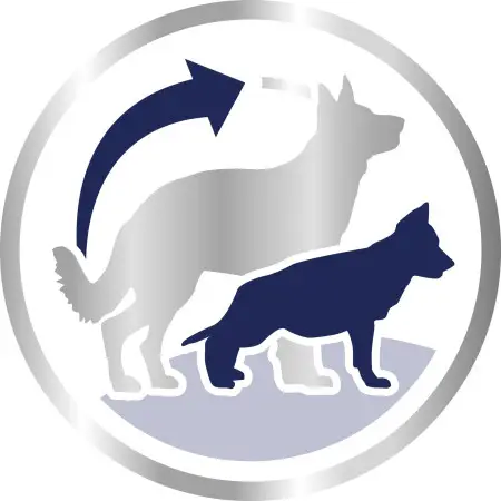 Сухий корм Royal Canin Maxi Starter Mother & Babydog для цуценят великих порід, з м'ясом птиці і рисом, 4 кг