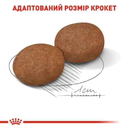 Сухий корм Royal Canin Medium Adult 7+ для літніх собак, 4 кг