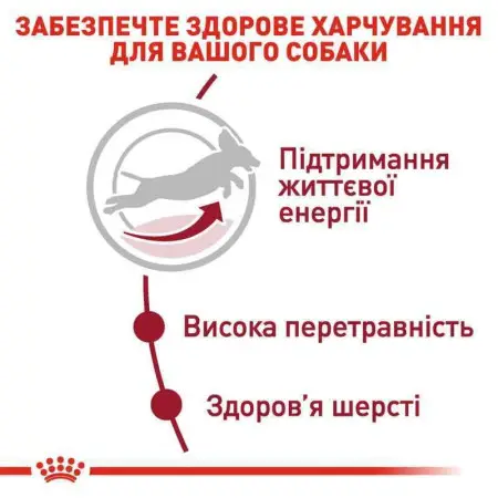 Сухий корм Royal Canin Medium Adult 7+ для літніх собак, 4 кг
