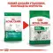 Сухий корм Royal Canin Mini Adult 8+ для собак віком від 8 до 12 років, 800 г