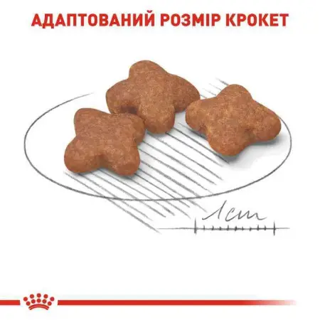 Сухий корм Royal Canin Mini Adult 8+ для собак віком від 8 до 12 років, 800 г