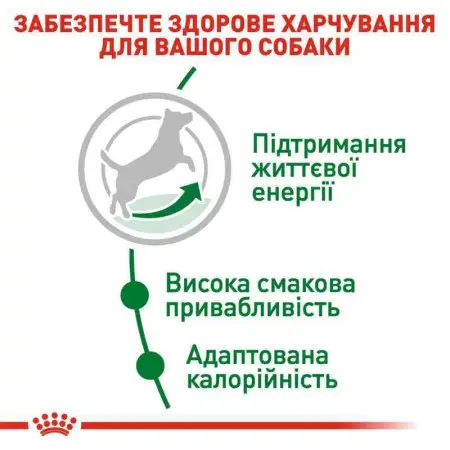 Сухий корм Royal Canin Mini Adult 8+ для собак віком від 8 до 12 років, 800 г