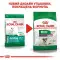 Сухий корм Royal Canin Mini Ageing 12+ для собак старше 12 років, 800 г