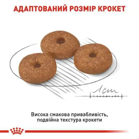 Сухий корм Royal Canin Mini Ageing 12+ для собак старше 12 років, 800 г
