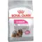 Сухий корм Royal Canin Mini Exigent для собак вибагливих до харчування, з м'ясом птиці, 3 кг