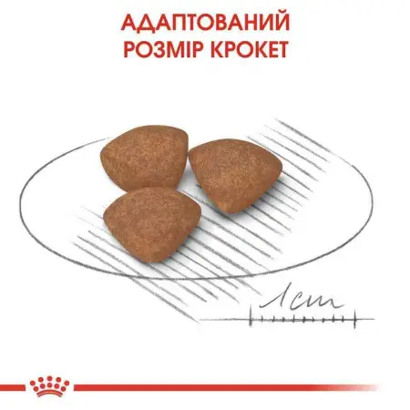 Сухий корм Royal Canin Mini Puppy для цуценят дрібних порід, з м'ясом птиці і рисом, 8 кг