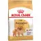 Сухий корм Royal Canin Pomeranian Adult для дорослих собак породи Померанський шпіц, з птицею, 500 г