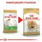 Сухий корм Royal Canin Pug Adult, для дорослих собак породи Мопс 3 кг