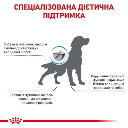 Сухой лечебный корм Royal Canin Skin Care Dog для собак при дерматозах и выпадении шерсти, 2 кг