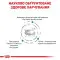 Сухой лечебный корм Royal Canin Skin Care Dog для собак при дерматозах и выпадении шерсти, 2 кг