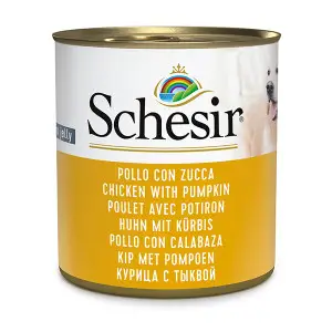 Вологий корм Schesir Chicken With Pumpkin Курка з Гарбузом в желе для собак 285г