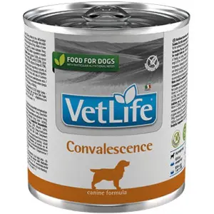 Вологий лікувальний корм для собак Farmina Vet Life Convalescence для відновлення харчування та одужання 300 г