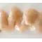 Ласощі LifeCat Deli Snack Natural Cream для котів, крем-снек на основі м'яса лосося, 6 штук по 15 г