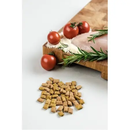 Хрумкі ласощі Savory Snack Подушечки для вибагливих котів, з куркою та сиром, 60 г