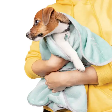Плед для собак та котів Pet Fashion Bliss №2 (77x100 см), м'ятний