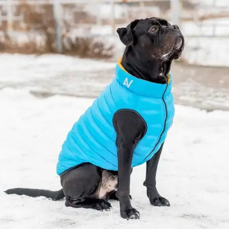Двостороння курточка AiryVest для собак , "Colors of freedom", розмір L 55
