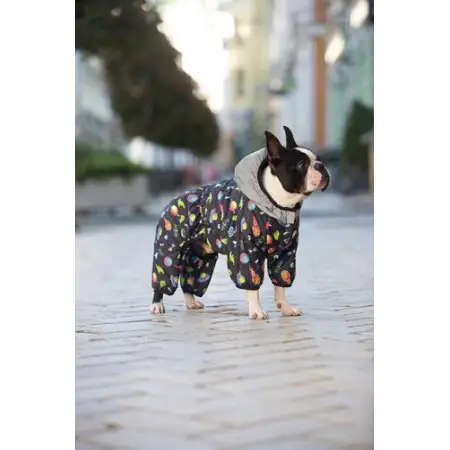 Комбінезон для собак WAUDOG Clothes малюнок "Рік та Морті 2", S32, В 47-50 см, С 30-33 см