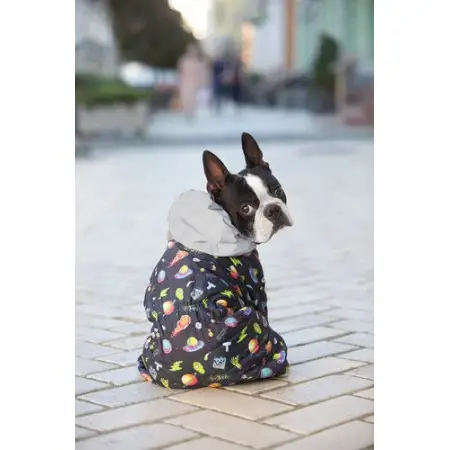 Комбінезон для собак WAUDOG Clothes малюнок "Рік та Морті 2", S32, В 47-50 см, С 30-33 см