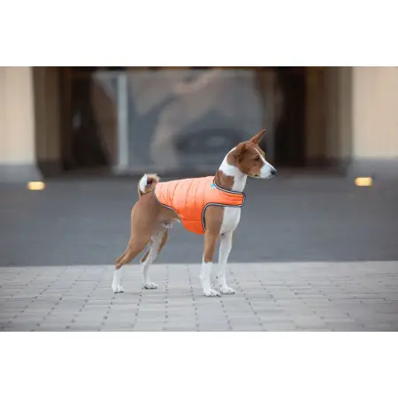 Курточка-накидка для собак AiryVest, L, B 58-70 см, С 42-52 см оранжевый