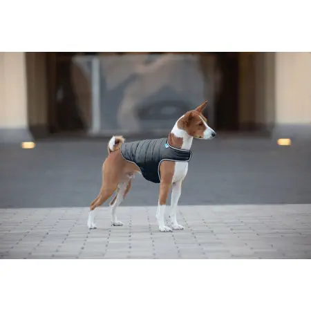 Куртка-накидка для собак AiryVest, XL, B 68-80 см, С 42-52 см чорний