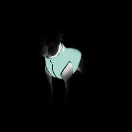 Курточка для собак AiryVest Lumi двусторонняя, светящаяся, размер М 47, салатово-голубая