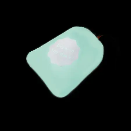Курточка для собак AiryVest Lumi двусторонняя, светящаяся, размер XS 22, салатово-голубая