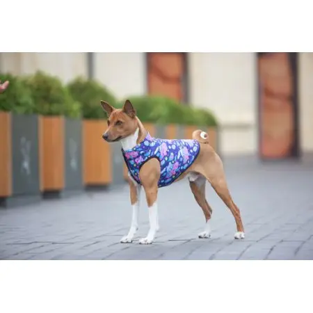 Курточка для собак WAUDOG Clothes, рисунок "Рик и Морти 1", M40, В 63-67 см, С 39-43 см