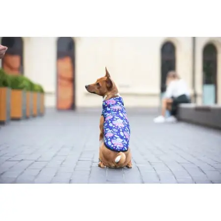 Курточка для собак WAUDOG Clothes, рисунок "Рик и Морти 1", M45, В 61-65 см, С 38-42 см
