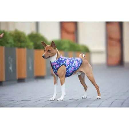 Курточка для собак WAUDOG Clothes малюнок "Рік та Морті 1", M50, В 76-79 см, С 55-61 см