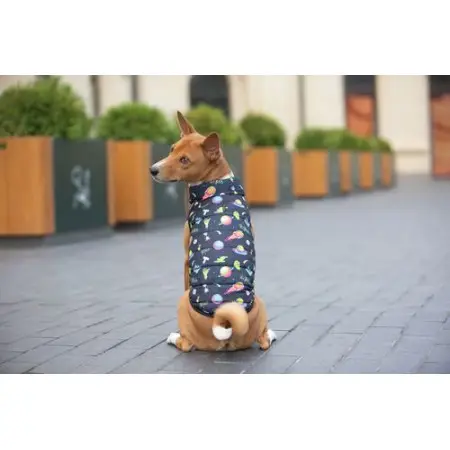 Курточка для собак WAUDOG Clothes рисунок "Рик и Морти 2", L65, В 87-90 см, С 60-65 см