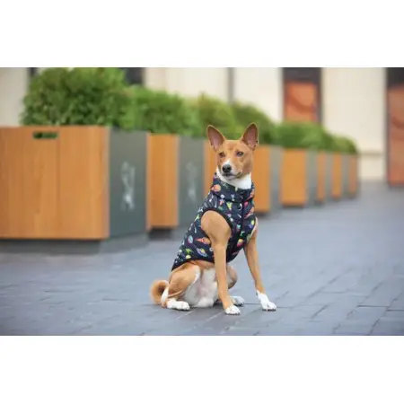 Курточка для собак WAUDOG Clothes рисунок Рик и Морти 2, M47, В 69-73 см, С 41-45 см