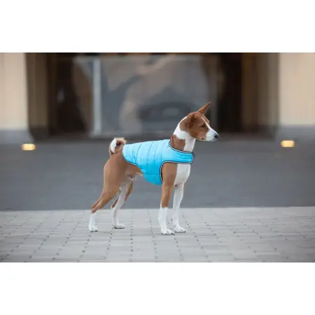 Курточка-накидка для собак AiryVest, M, B 52-62 см, С 36-47 см блакитний