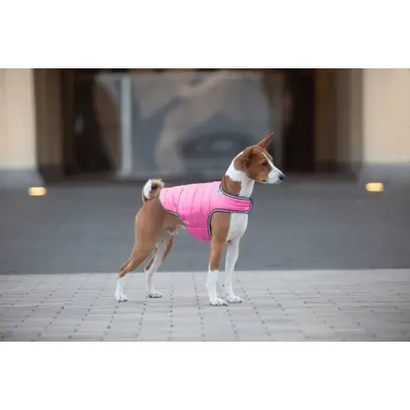 Курточка-накидка для собак AiryVest, M, B 52-62 см, С 36-47 см рожевий