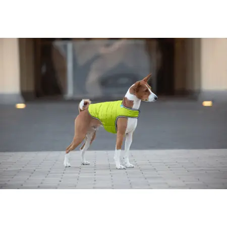 Курточка-накидка для собак AiryVest, M, B 52-62 см, С 36-47 см салатовий