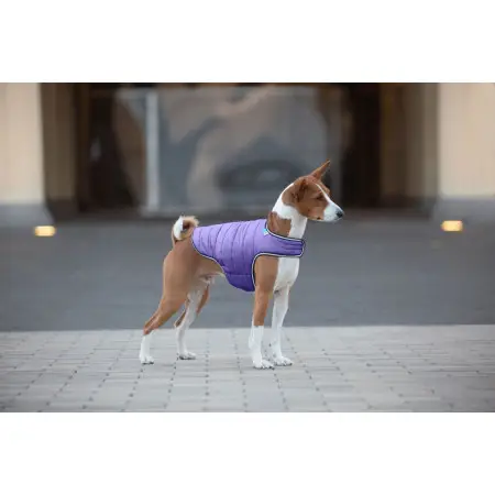 Курточка-накидка для собак AiryVest, S, B 41-51 см, С 25-35 см фіолетовий