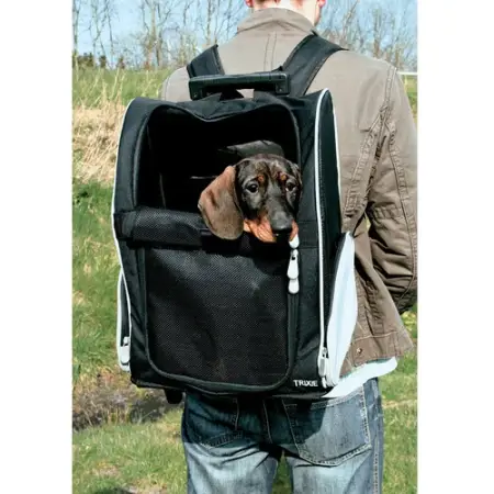 Сумка-рюкзак Trixie Trolley для перевозки собак до 8 кг полиэстер 32х45х25 см