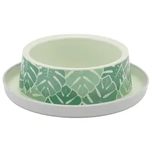 Moderna Trendy Dinner Eden МОДЕРНА ЕДЕМ миска для котів, 350мл , Cвітло зелений