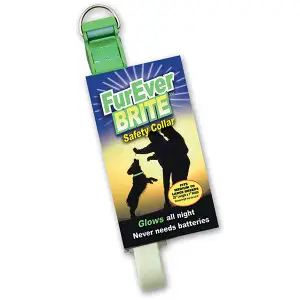 Davis FurEver Brite Safety Collar ДЕВІС НАШИЙНИК що світиться для собак , M 61х2,5см